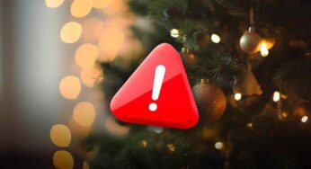 Questa decorazione è pericolosa: non metterla sul tuo Albero di Natale